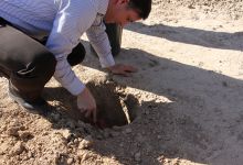 گزارش تصویری مراسم روز درخت کاری و تقدیر از نیروهای باغبانی دانشگاه
